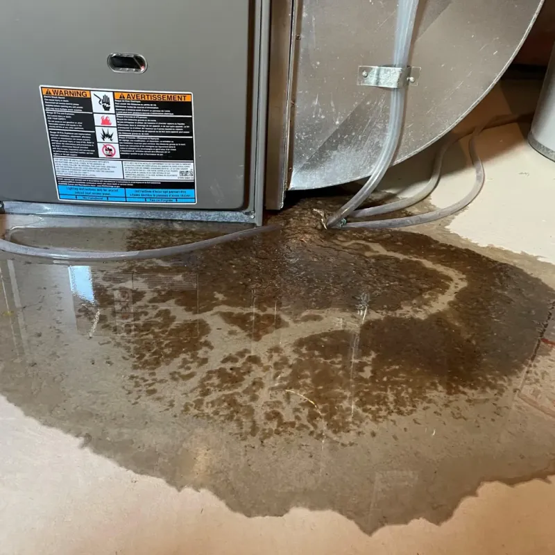 Appliance Leak Cleanup in Hobart, WI